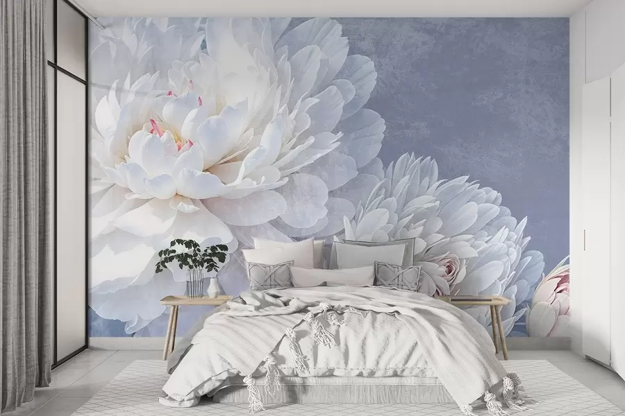 Carta da parati Floreale Fiori di peonia bianchi dettagliati con petali morbidi e delicati su uno sfondo blu pastello chiaro e strutturato n. w08379