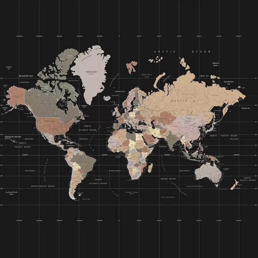 carta da parati Mappa del mondo con i diversi paesi delineati nr. u99477d1