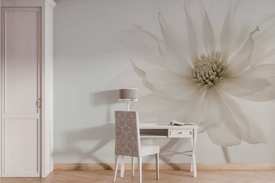 Carta da parati Floreale Delicato fiore beige su sfondo chiaro n. w02077v1