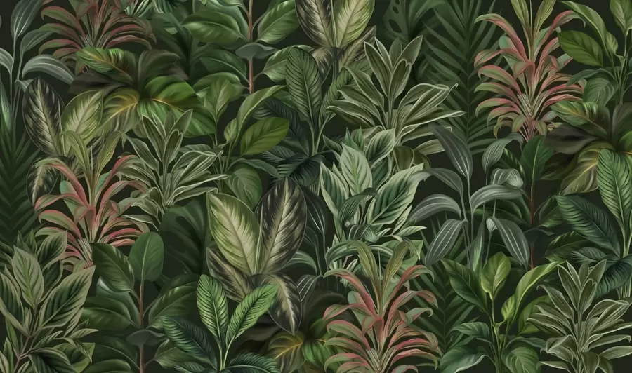 Carta da parati nature Fitto fogliame verde tropicale 