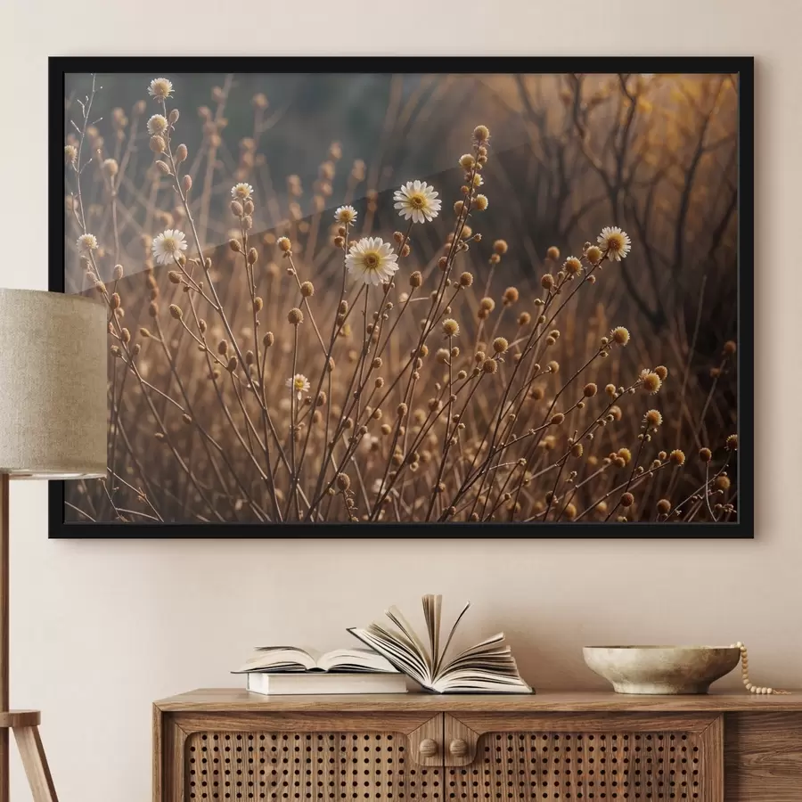 carta da parati Margherite bianche in un campo di erba secca e steli, con la calda luce del sole serale nr. f41735