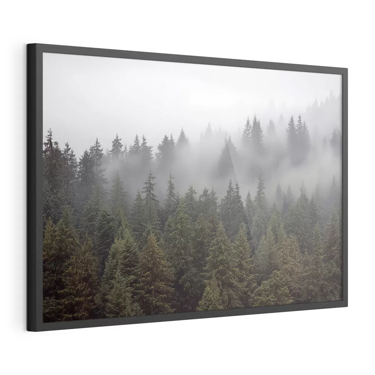 Poster Foresta nella nebbia f41839