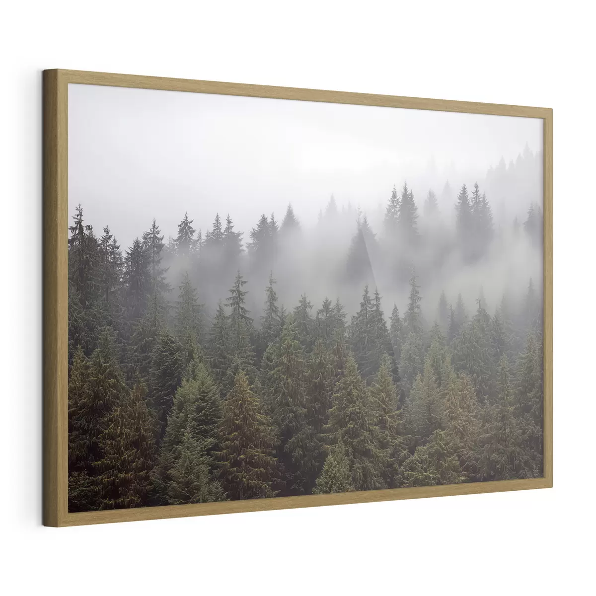 Poster Foresta nella nebbia f41839