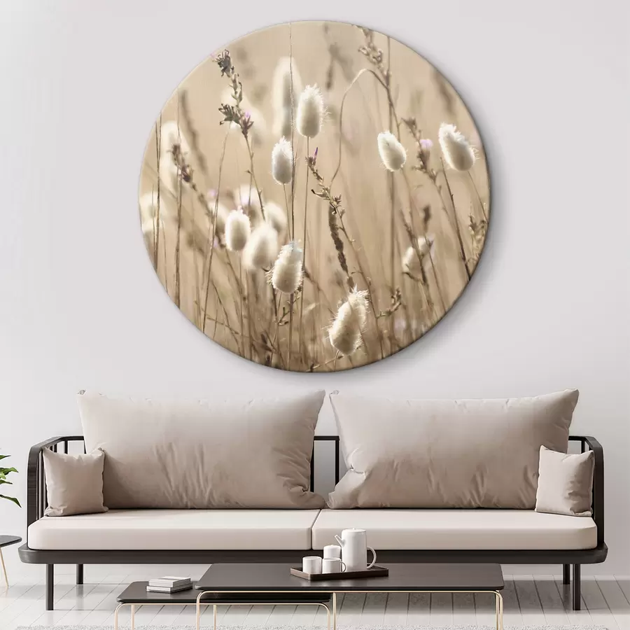 carta da parati Erbe soffici in un prato illuminato dal sole nr. r35256