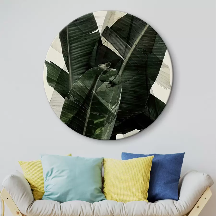 carta da parati Pianta, pianta terrestre e foglia di banana nr. r21747