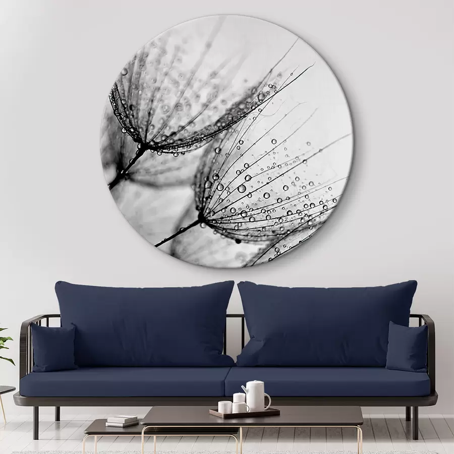 carta da parati Pianta, ramoscello e linea nr. r20828