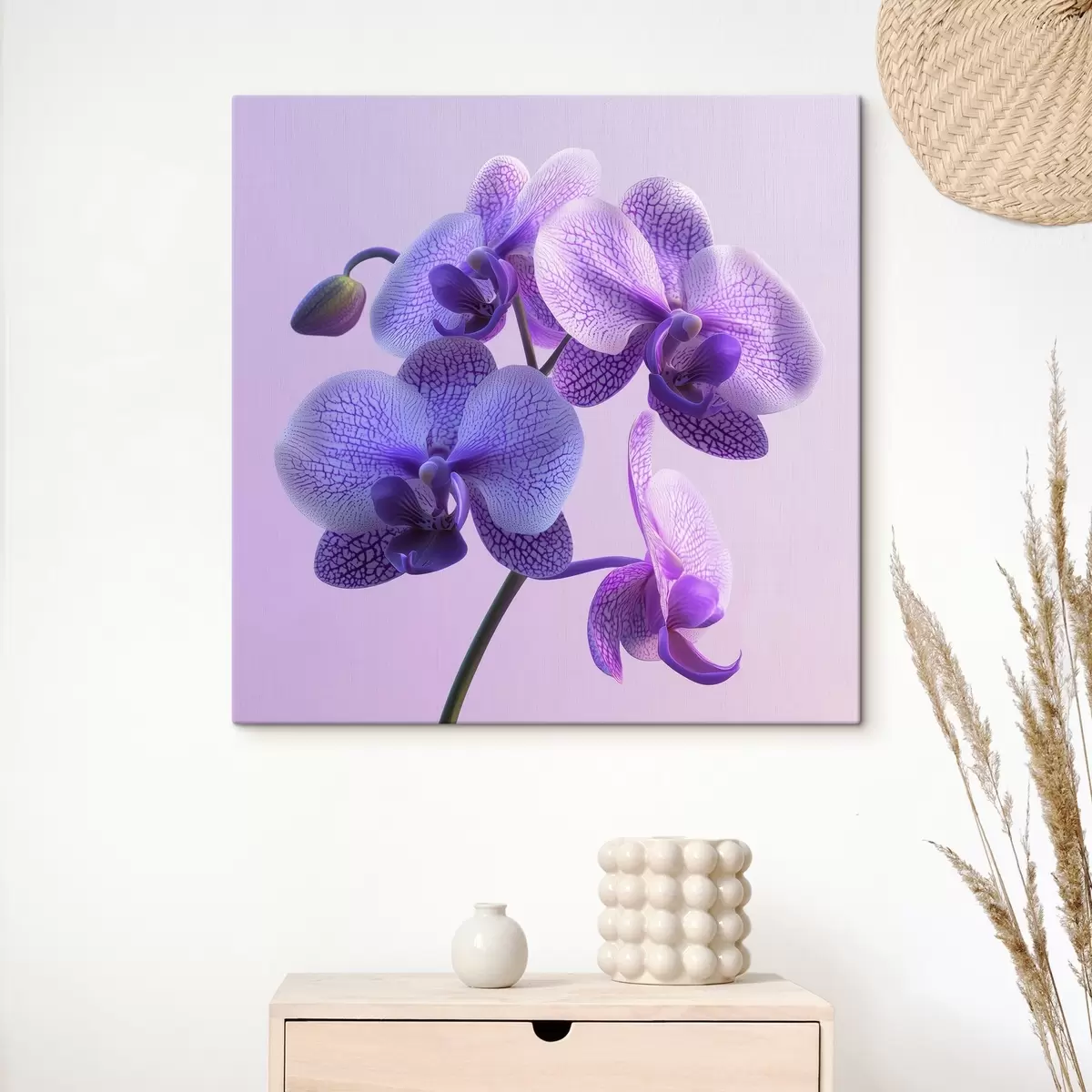 carta da parati Un'orchidea viola nr. s41978