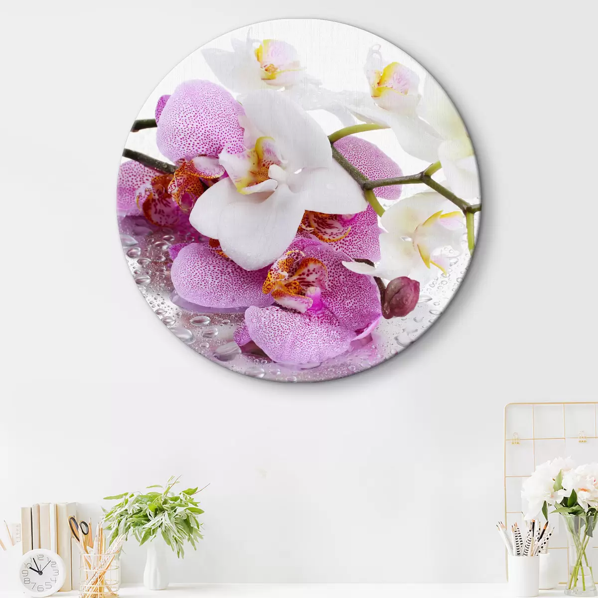 Quadri rotondi Fiore, pianta e petalo r15063