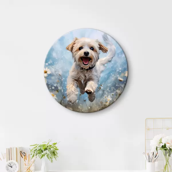 Animali