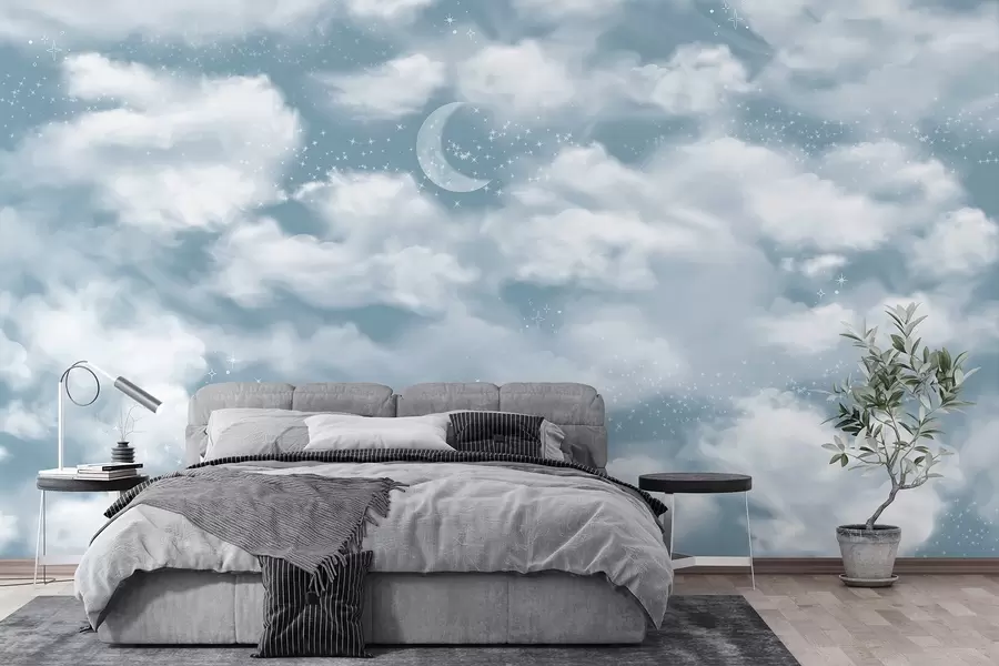 Carta da parati Cielo Cielo stellato con luna e nuvole, sognante, etereo, colori blu tenui n. w02515v1