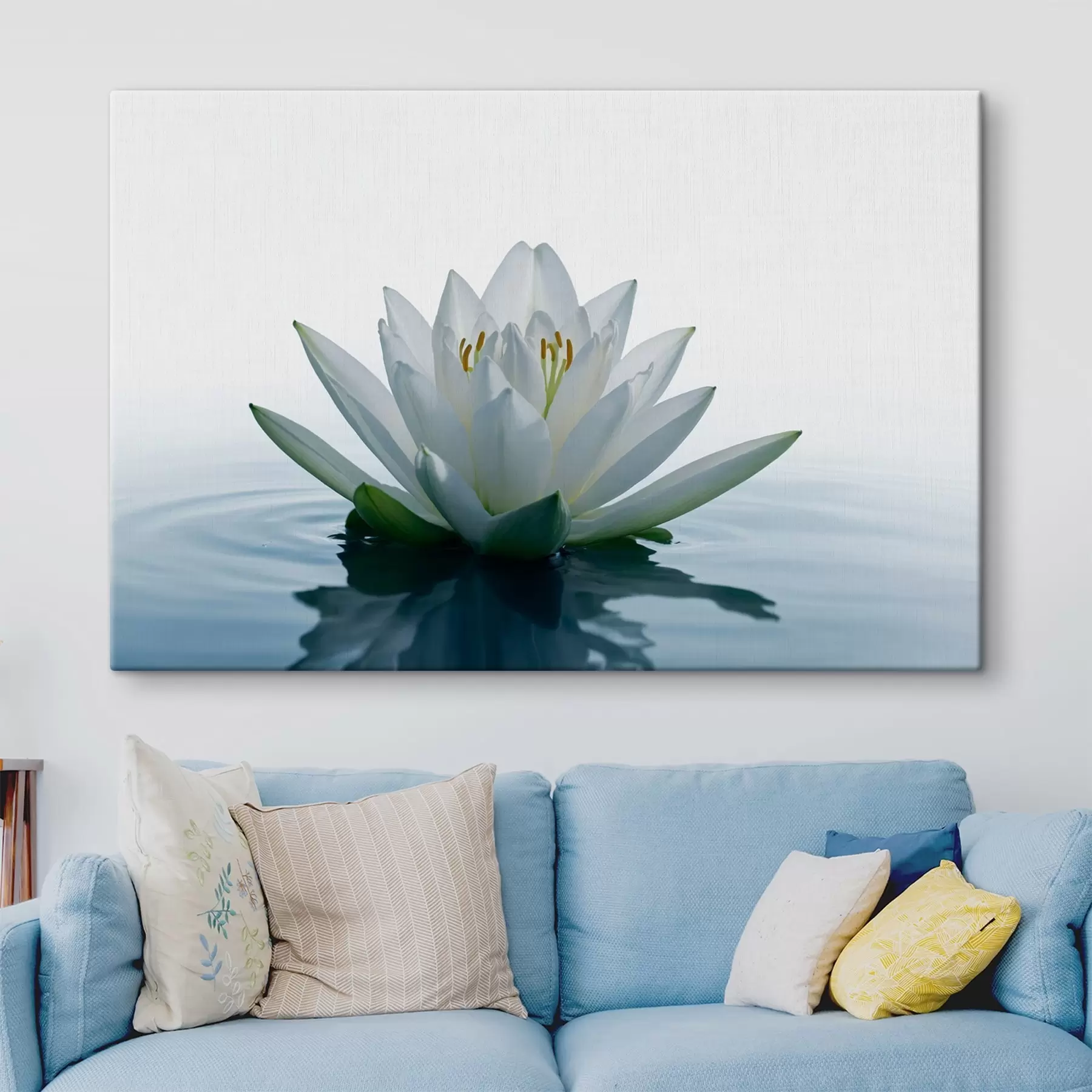 carta da parati Giglio che galleggia sull'acqua nr. s42098