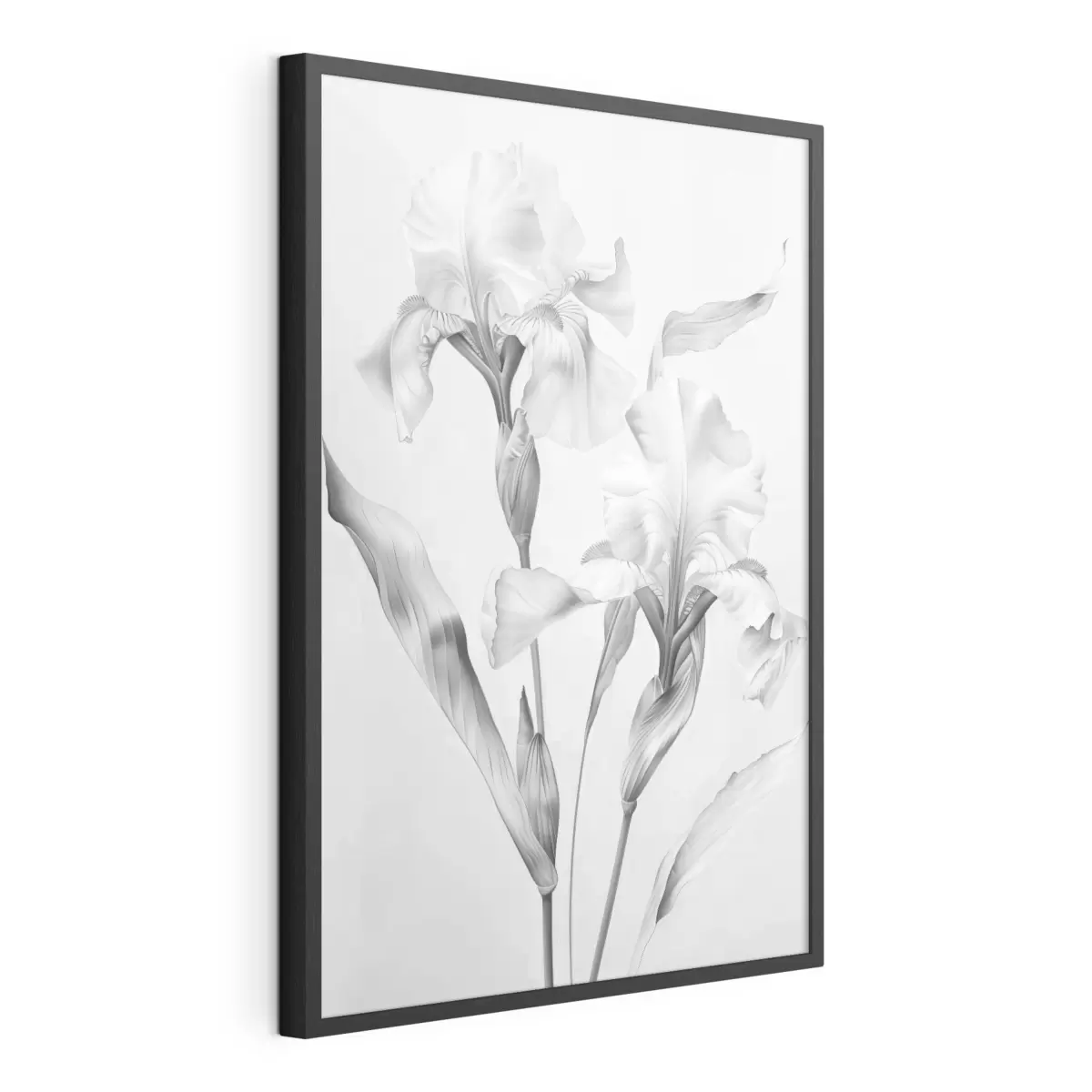 Poster Eleganti iris nei toni del bianco e del nero f42171