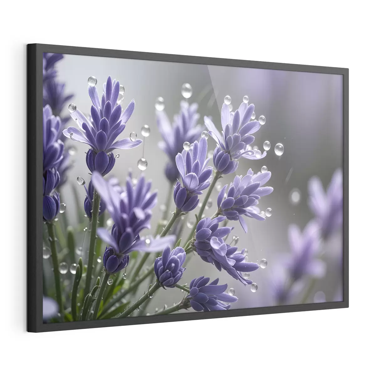 Poster Rugiada di lavanda f42229