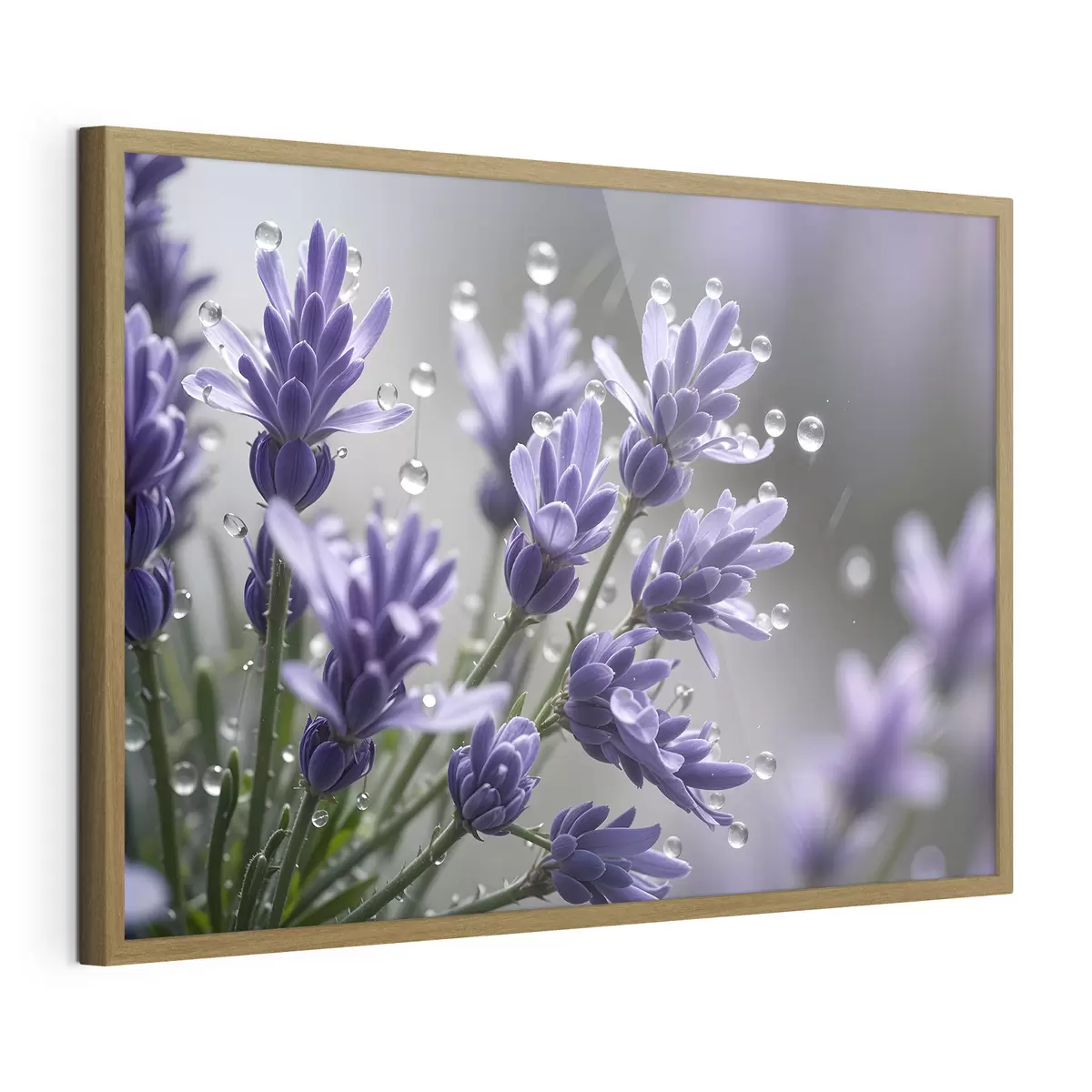 Poster Rugiada di lavanda f42229