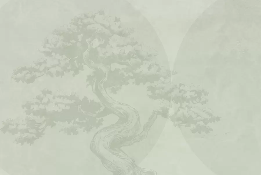 Carta da parati nature Albero bonsai minimalismo geometria grunge sfondo 