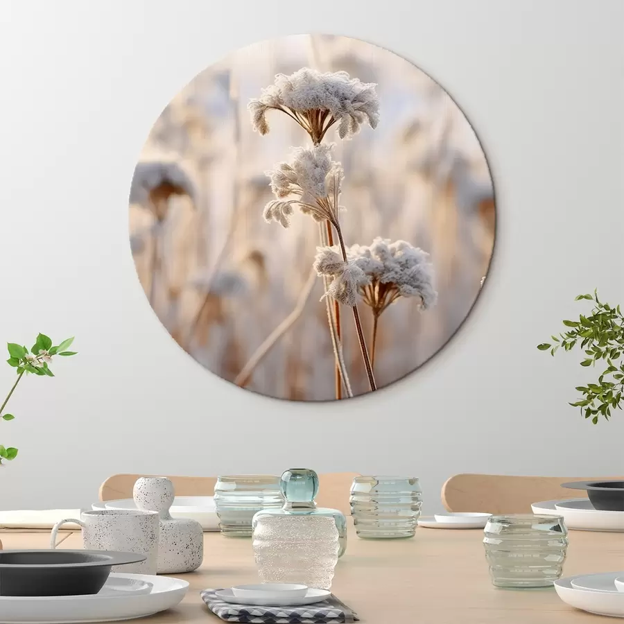 carta da parati Erba secca coperta di brina nr. r41283