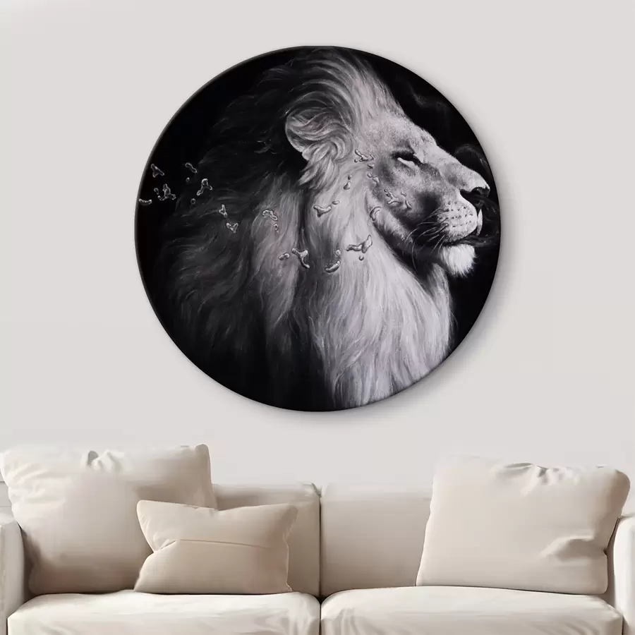 carta da parati Occhio, barca e capra nr. r03998