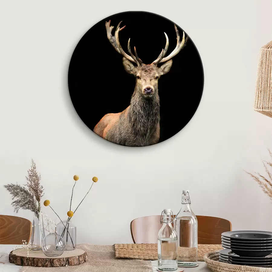 carta da parati Alce, organismo e cervo nr. r08154