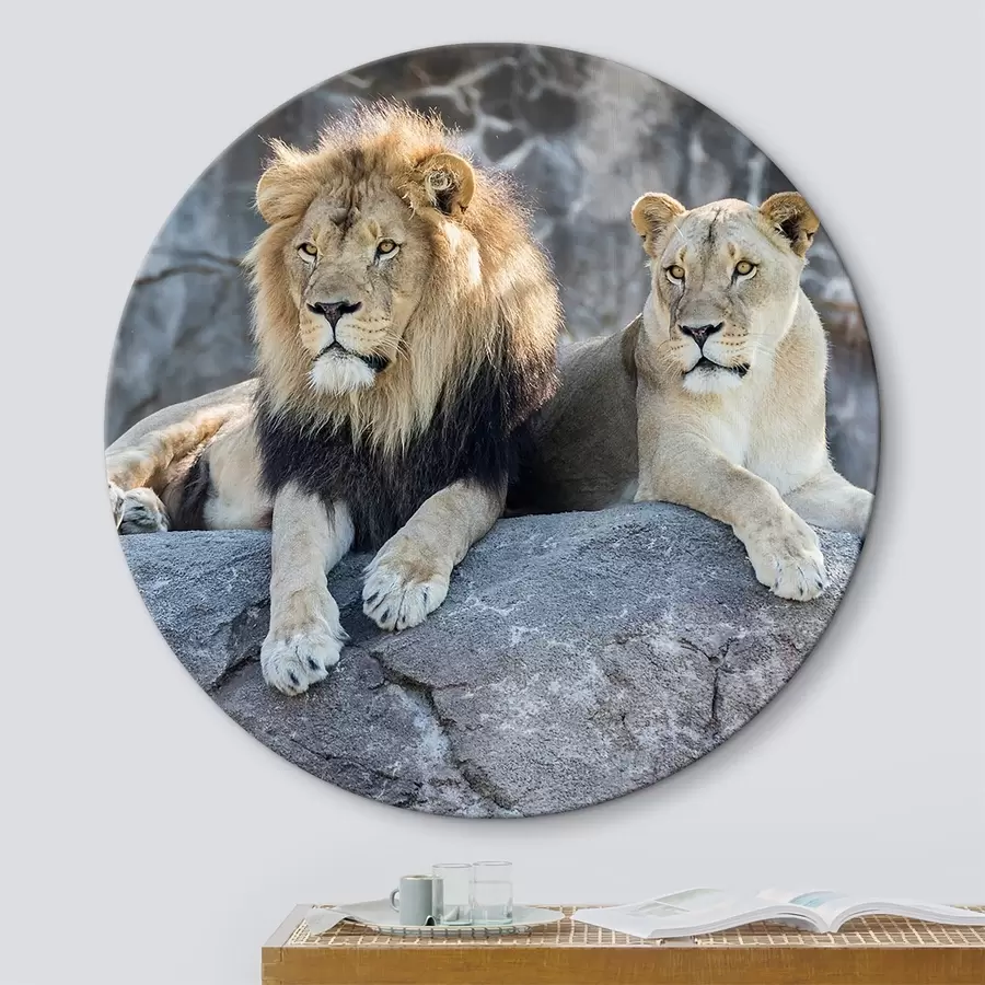 carta da parati Lew, kotowate i mięsożerne nr. r15278