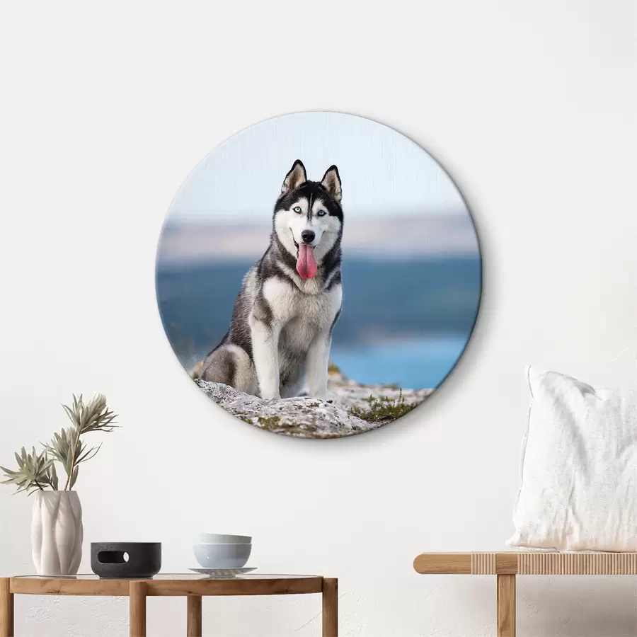 carta da parati Cielo, acqua e cane nr. r15711