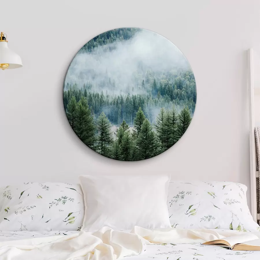 carta da parati Foresta di conifere nella nebbia nr. r34825