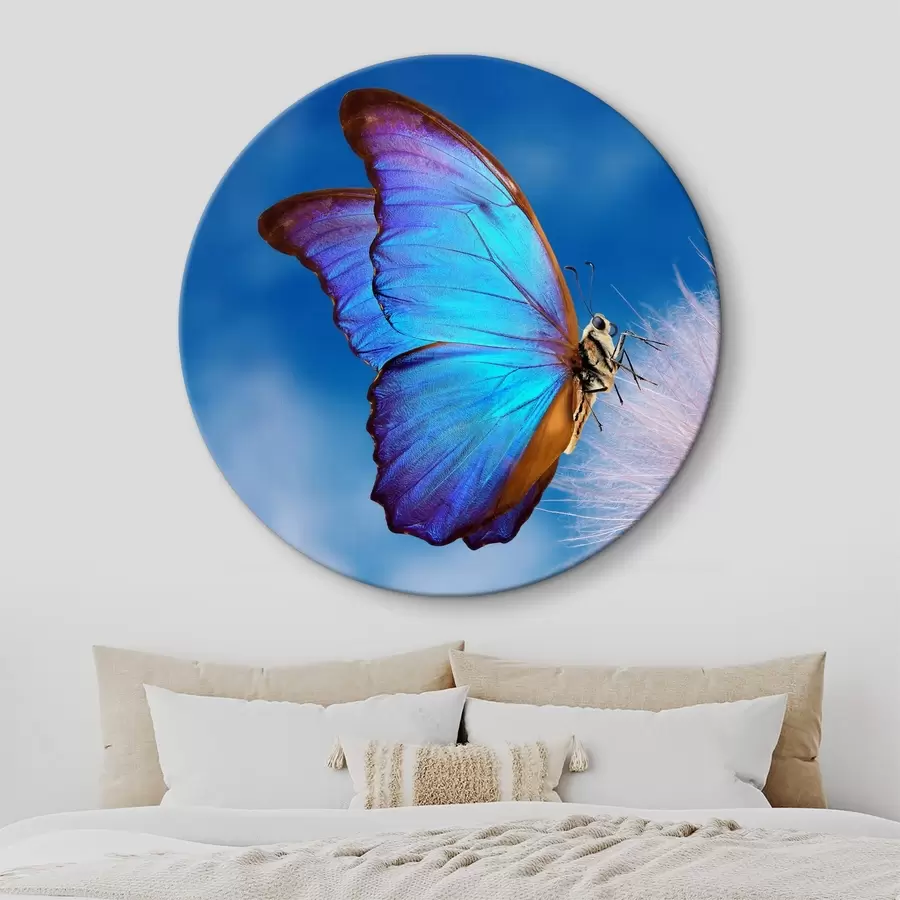 carta da parati Farfalla su un dente di leone nr. r34923