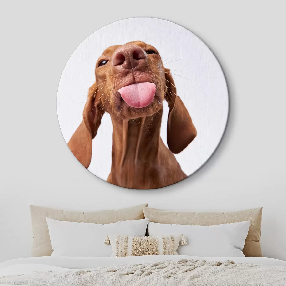 Quadri rotondi Cane felice r37751