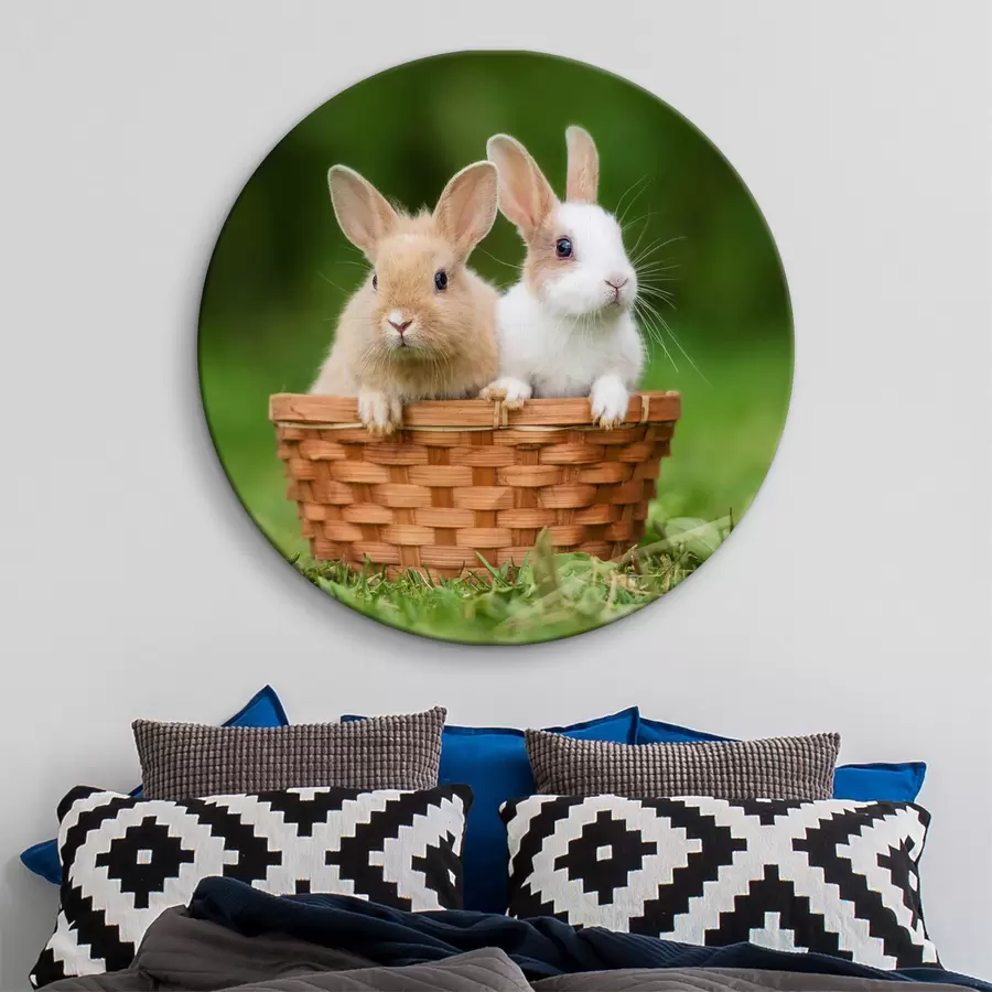 carta da parati Conigli carini nr. r37760