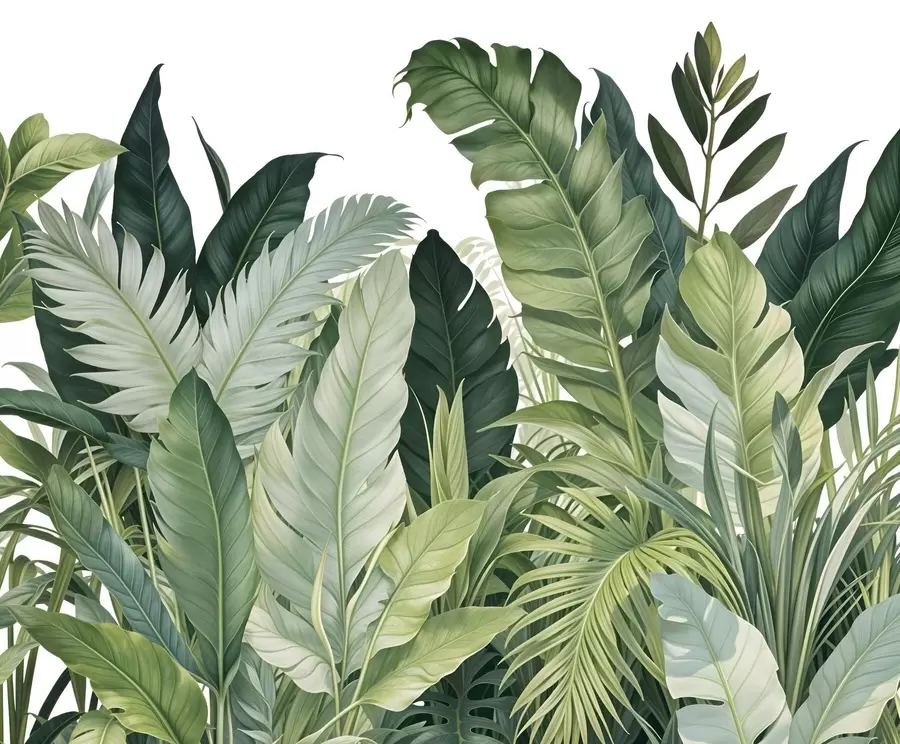 Carta da parati nature Fogliame tropicale con varie grandi foglie verdi, tra cui foglie di banano, foglie di palma e altre specie di piante esotiche 