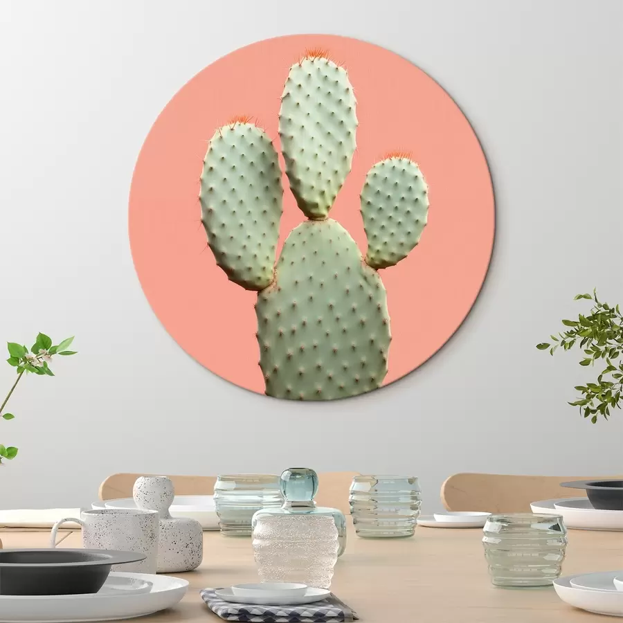 carta da parati Cactus minimalista su sfondo rosa nr. r42412