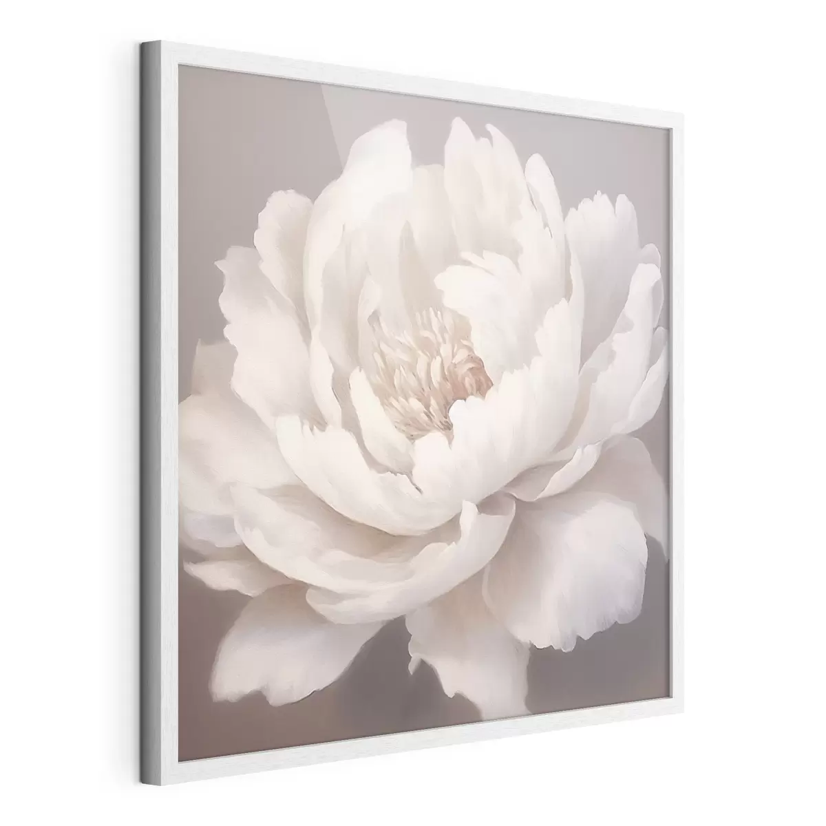 Poster Peonia bianca grande f42637