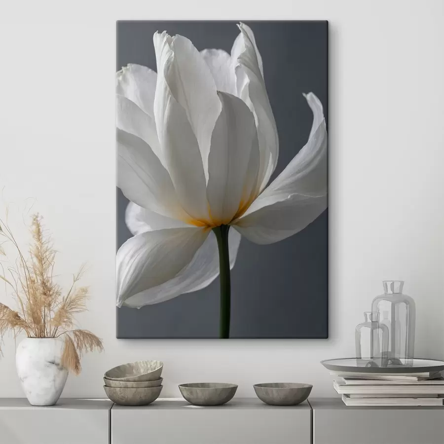 carta da parati Fiore bianco su sfondo grigio nr. s42779