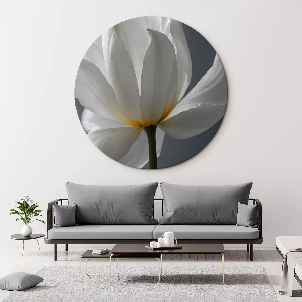 Quadri rotondi Fiore bianco su sfondo grigio r42779