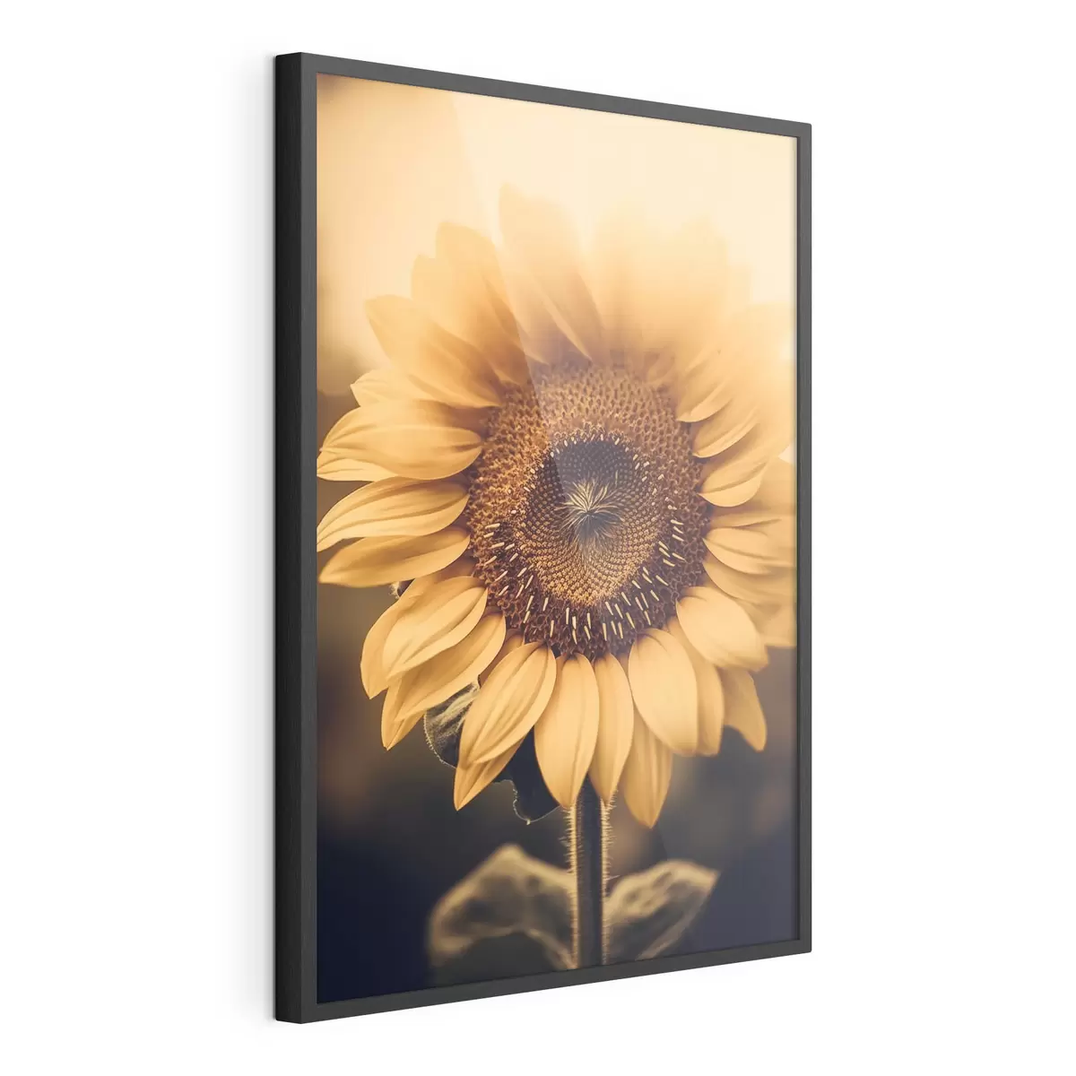 Poster Girasole f43012