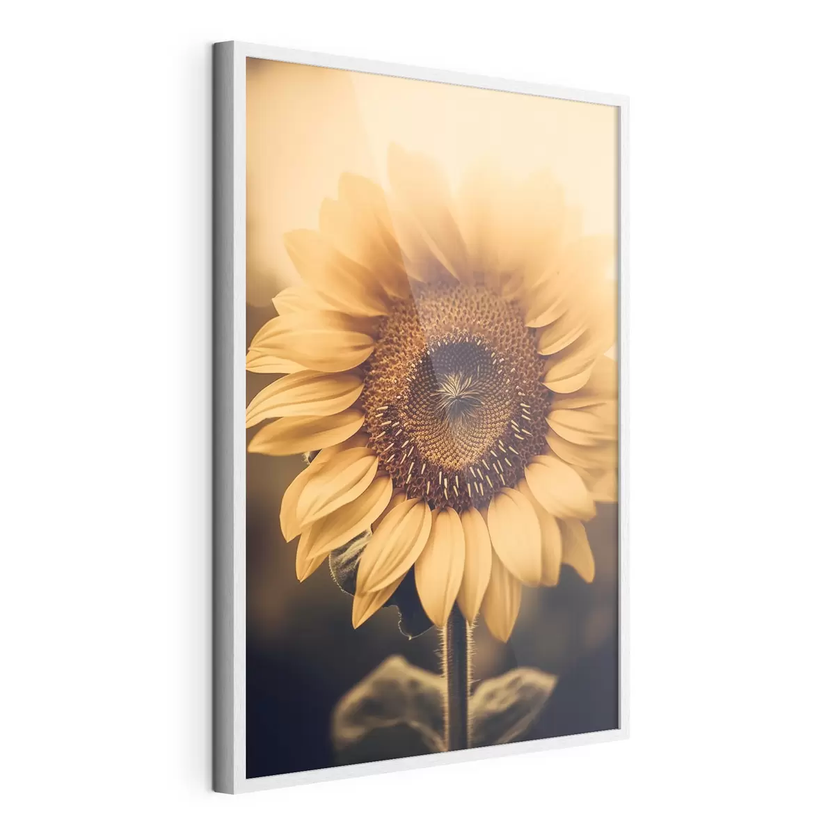 Poster Girasole f43012
