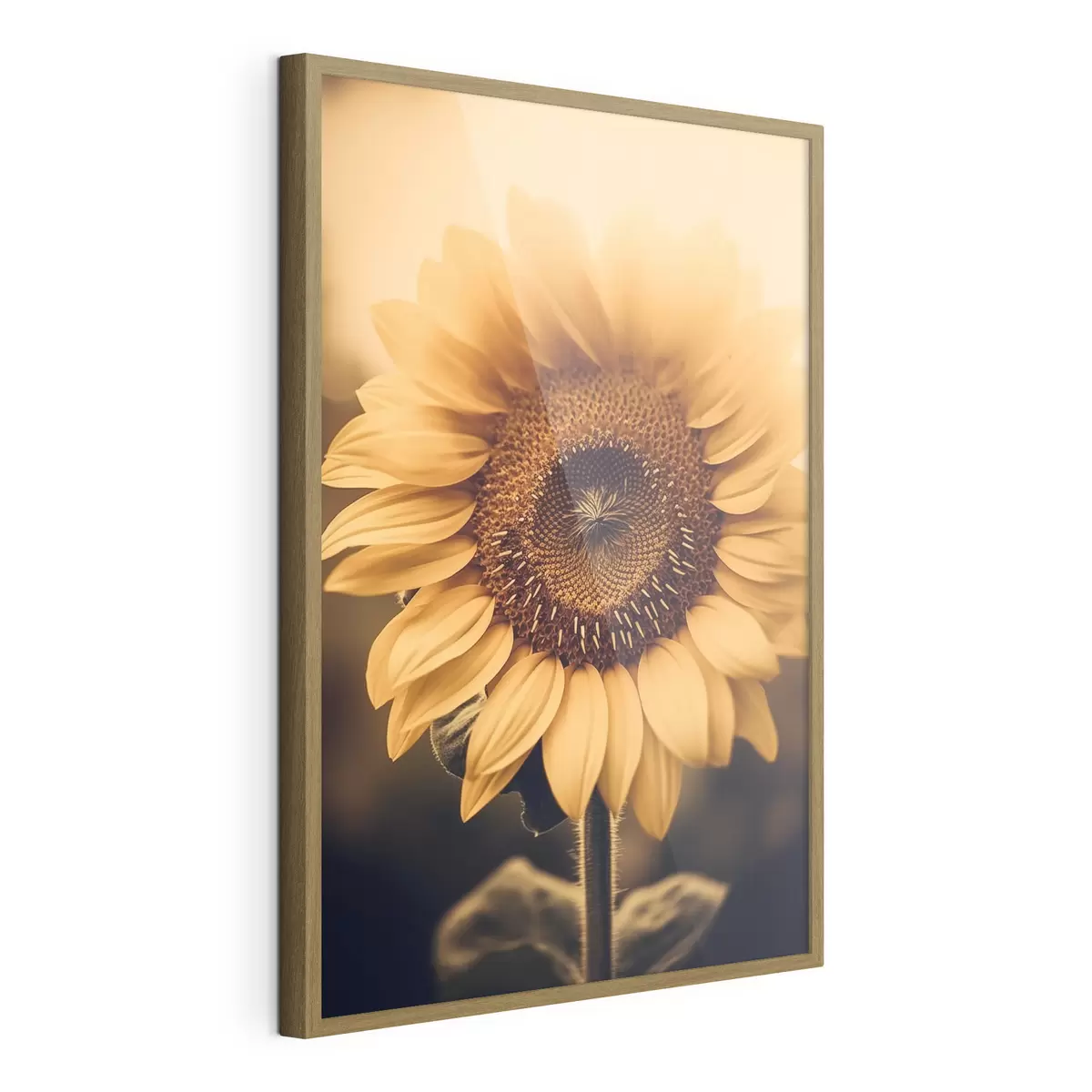 Poster Girasole f43012