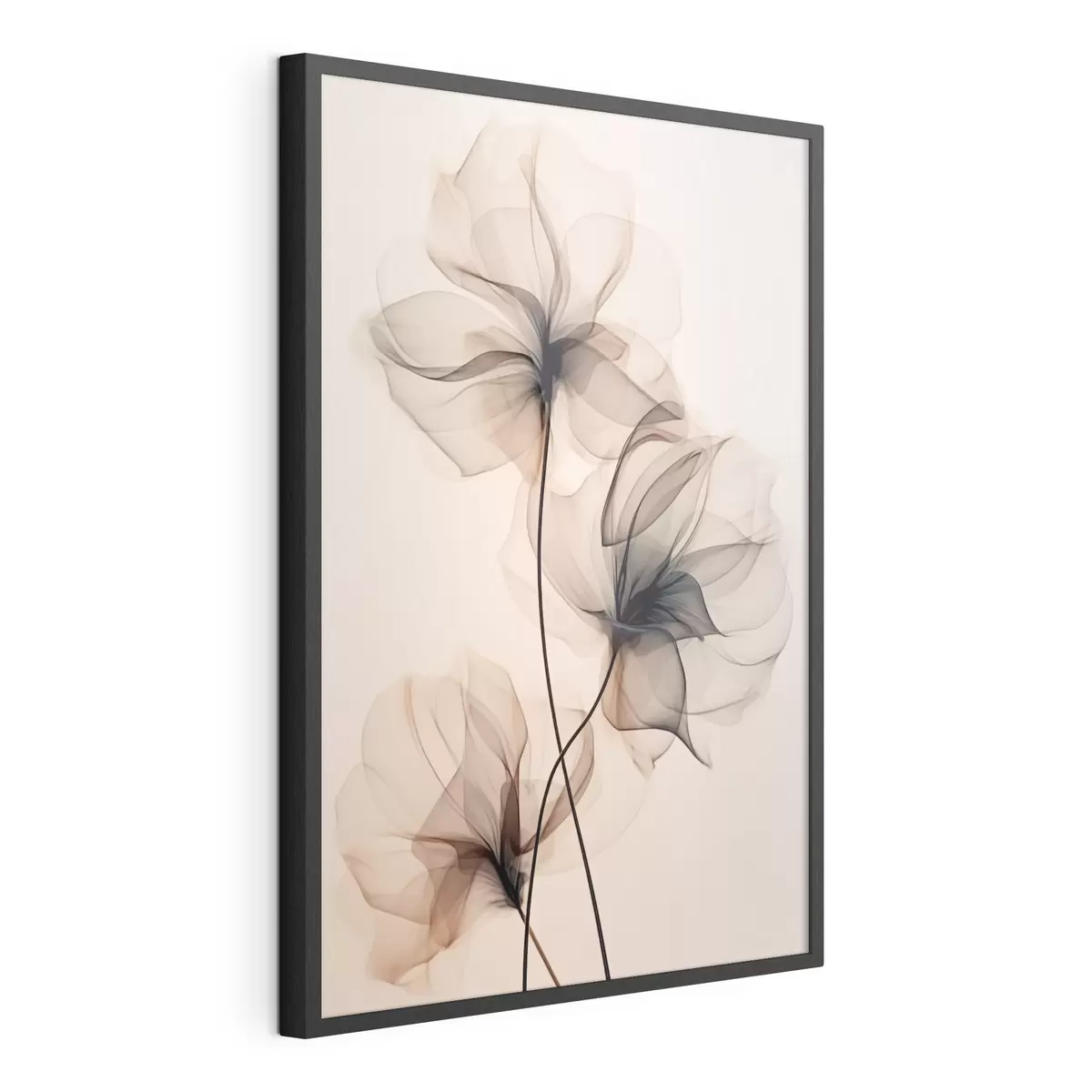 Poster Trio di fiori trasparenti f43015