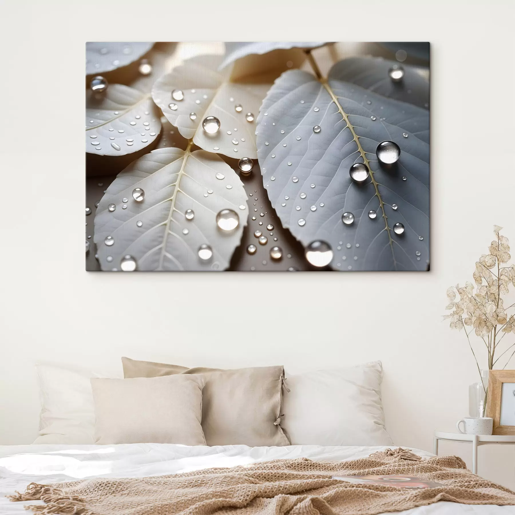 carta da parati Primo piano di foglie bianche ricoperte di gocce d'acqua, composizione minimalista, sfondo neutro nr. s43159