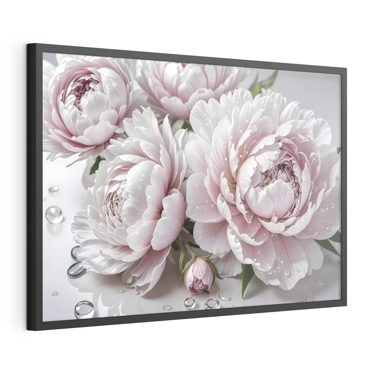 Poster Peonie dopo la pioggia f43158