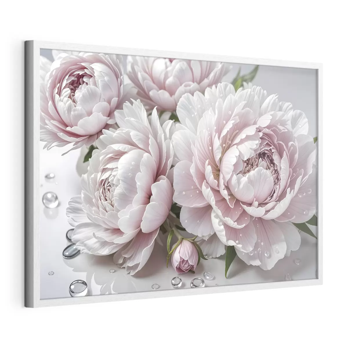Poster Peonie dopo la pioggia f43158