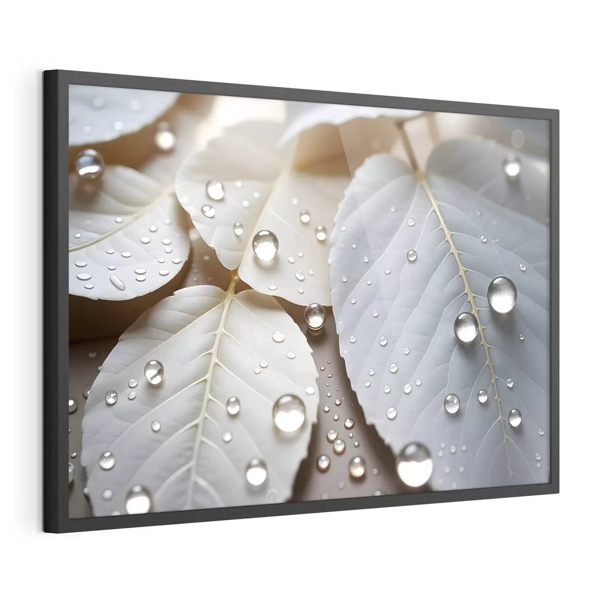 Poster Rugiada sul bianco f43159