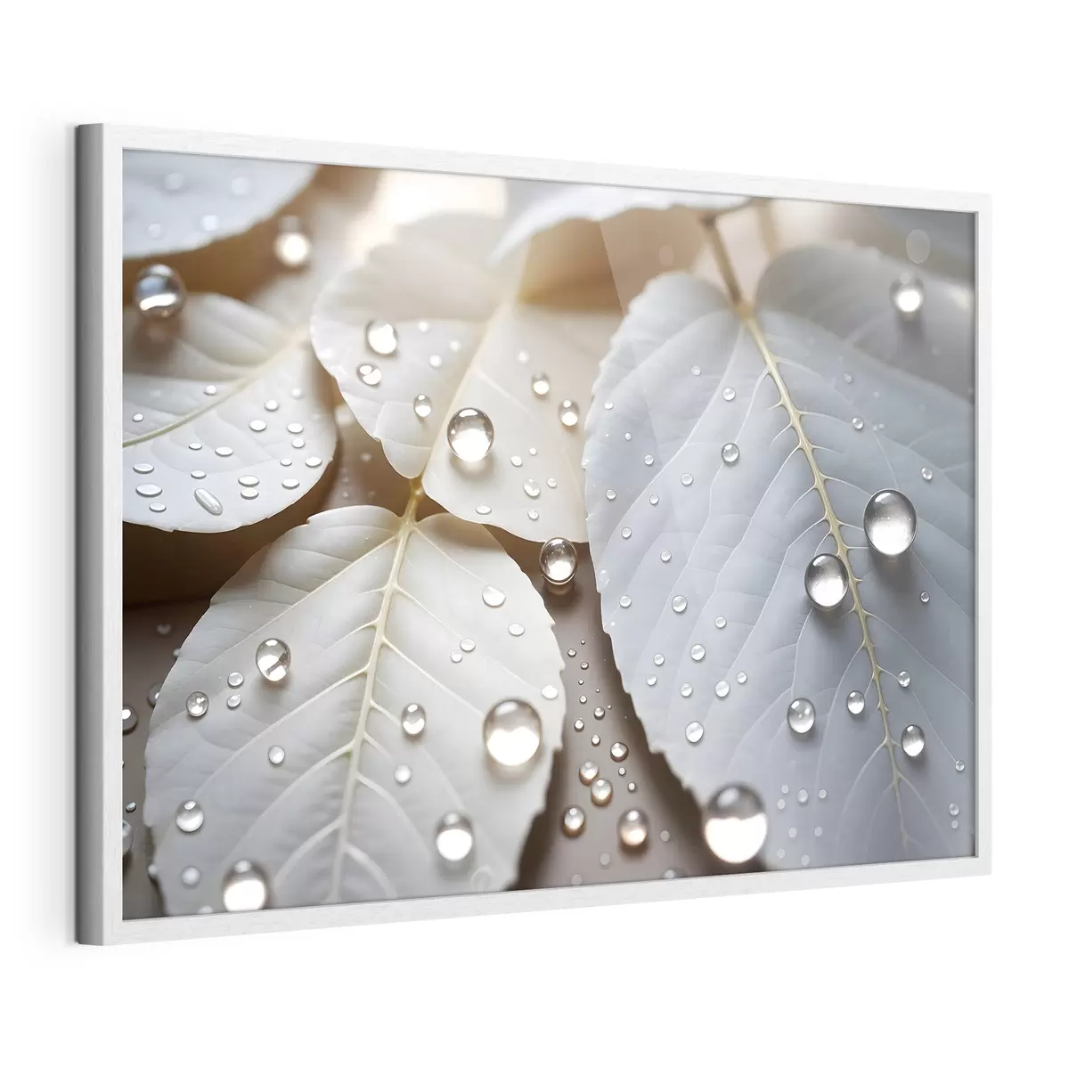 Poster Rugiada sul bianco f43159