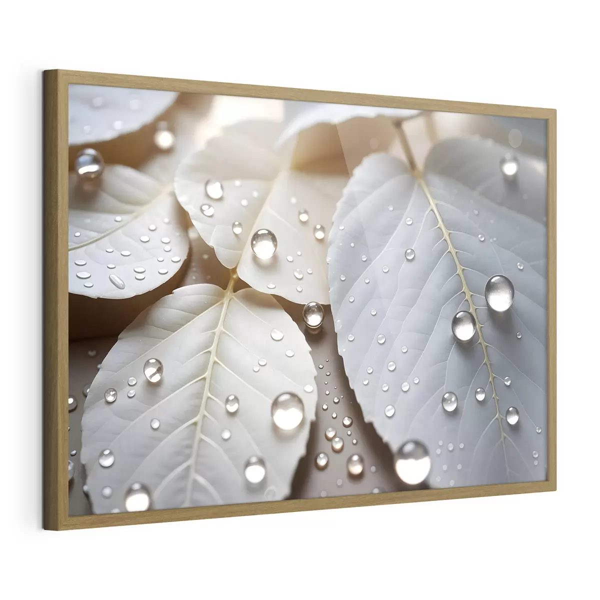 Poster Rugiada sul bianco f43159