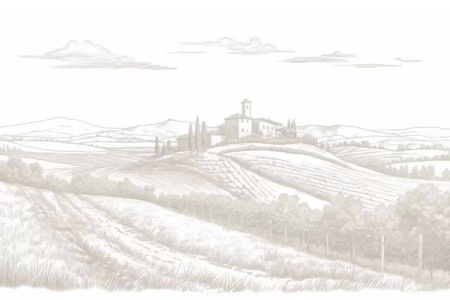 carta da parati Paesaggi della Toscana, Italia, vigneti, natura, vecchio castello, colori beige nr. w03349