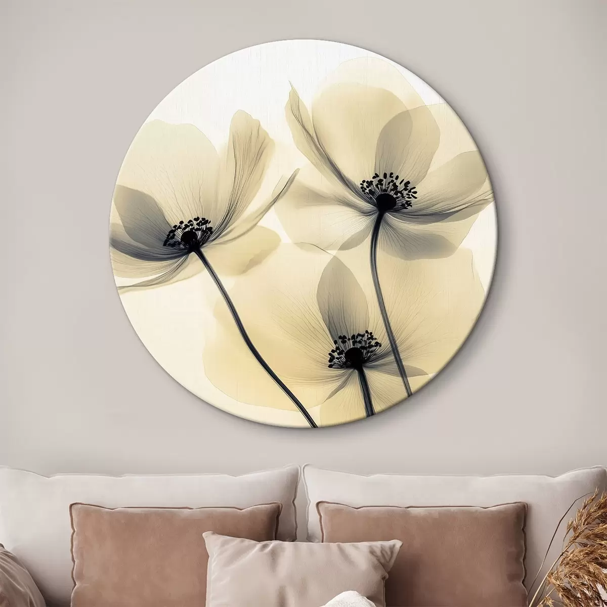 Quadri rotondi Fiori delicati - papaveri dai petali traslucidi r43316