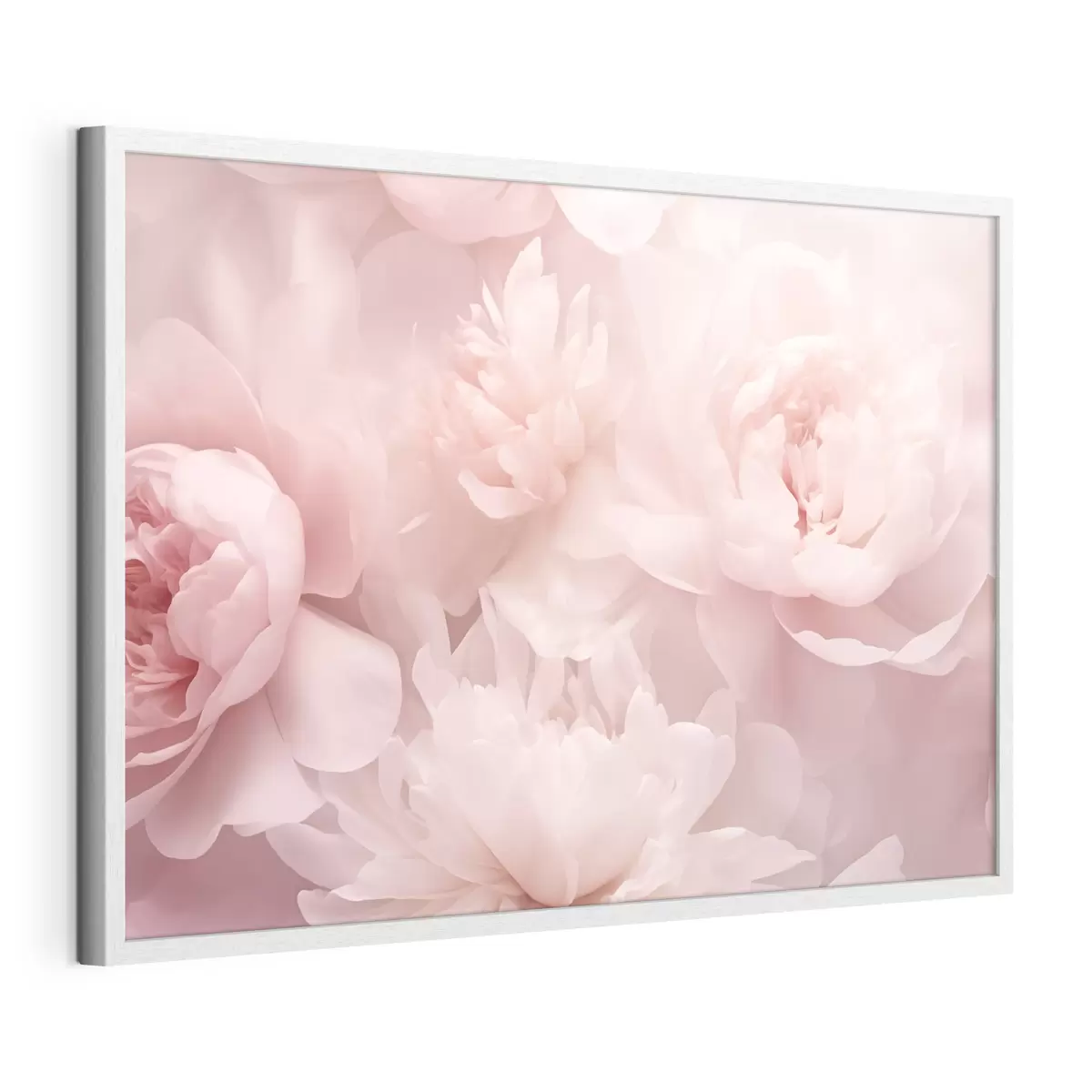 Poster Peonie e eternità f43429