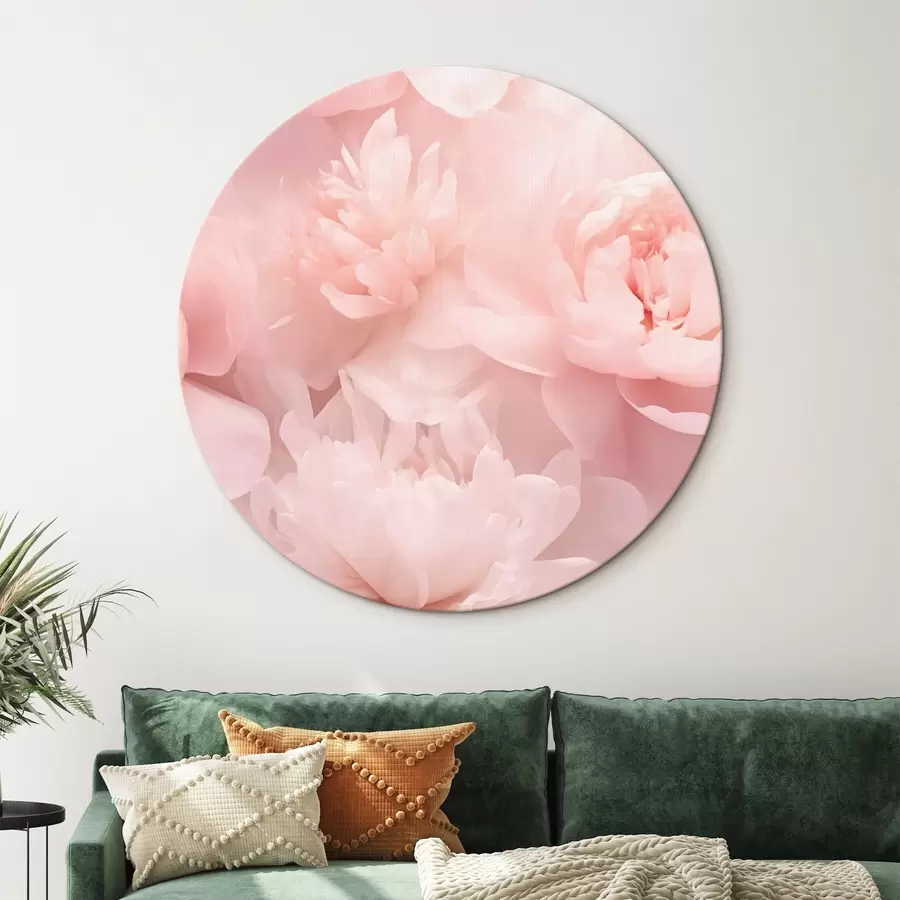 carta da parati Peonie nr. r43429