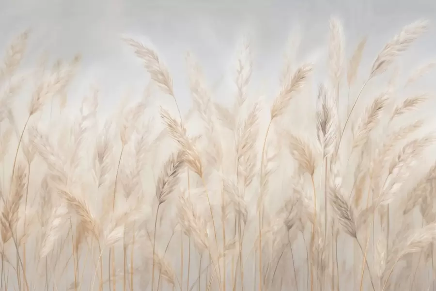 Carta da parati nature Spighette contro il cielo blu 