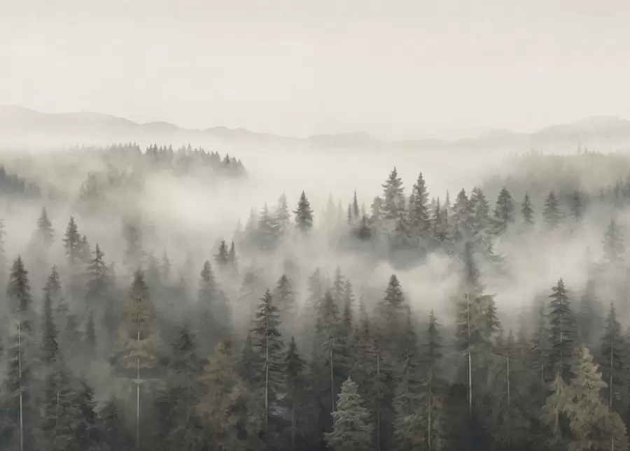 Carta da parati nature Foresta di conifere nebbiosa 