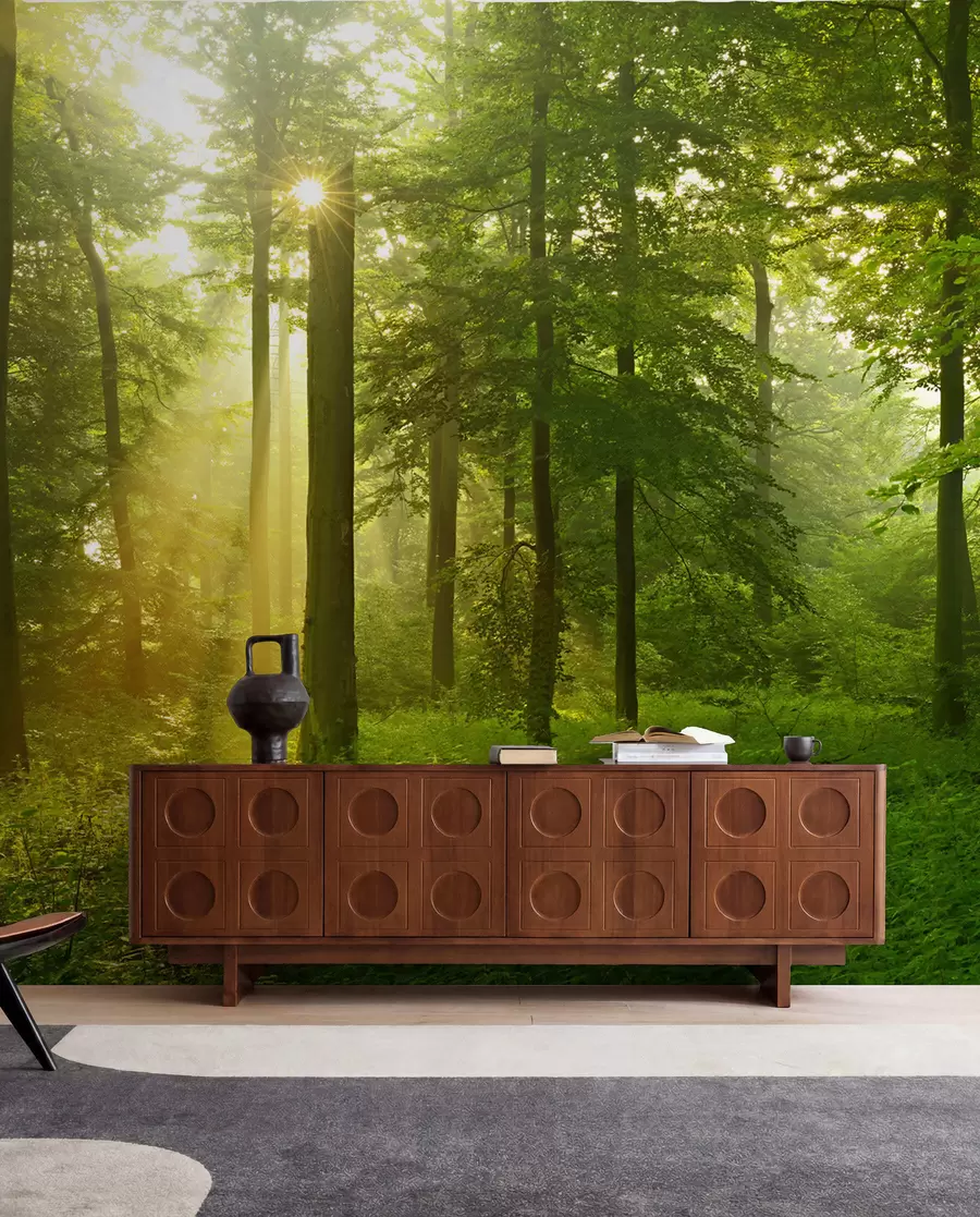 Carta da parati nature Silenzio nella foresta soleggiata 